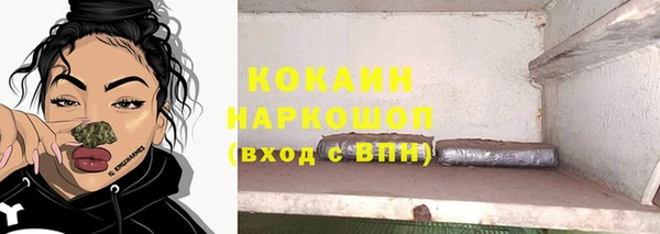 мдма Новодвинск
