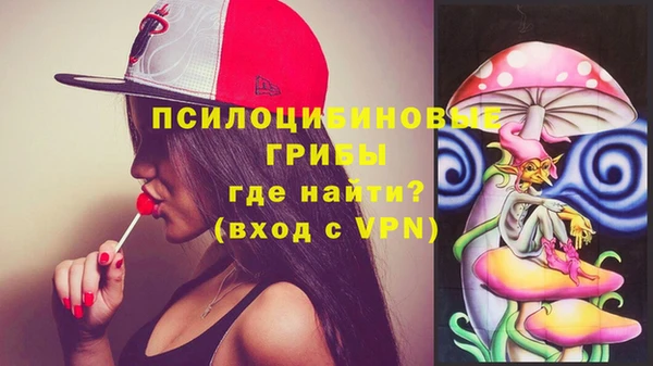 мдма Новодвинск