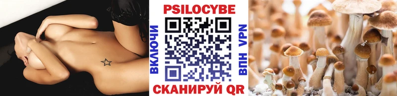 хочу наркоту  Смоленск  Псилоцибиновые грибы Cubensis 